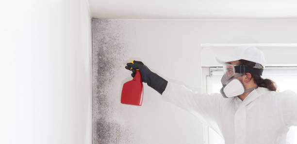 Best Residential Mold Removal  in Reminderville, OH