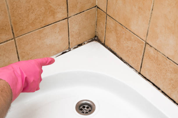 Best Mold Removal Company Near Me  in Reminderville, OH